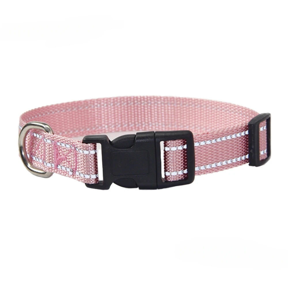 A Nylon Collar and Leash Set