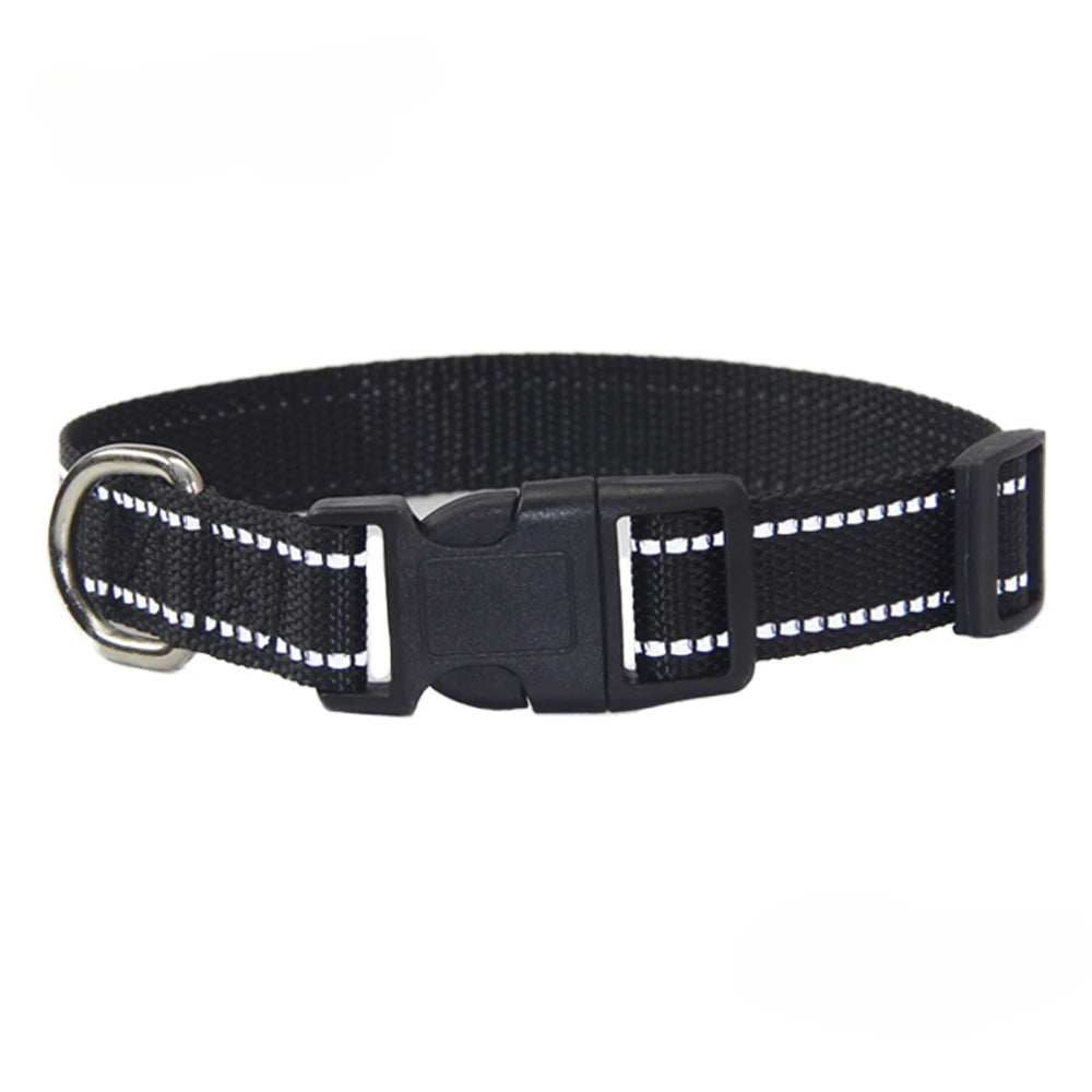 A Nylon Collar and Leash Set