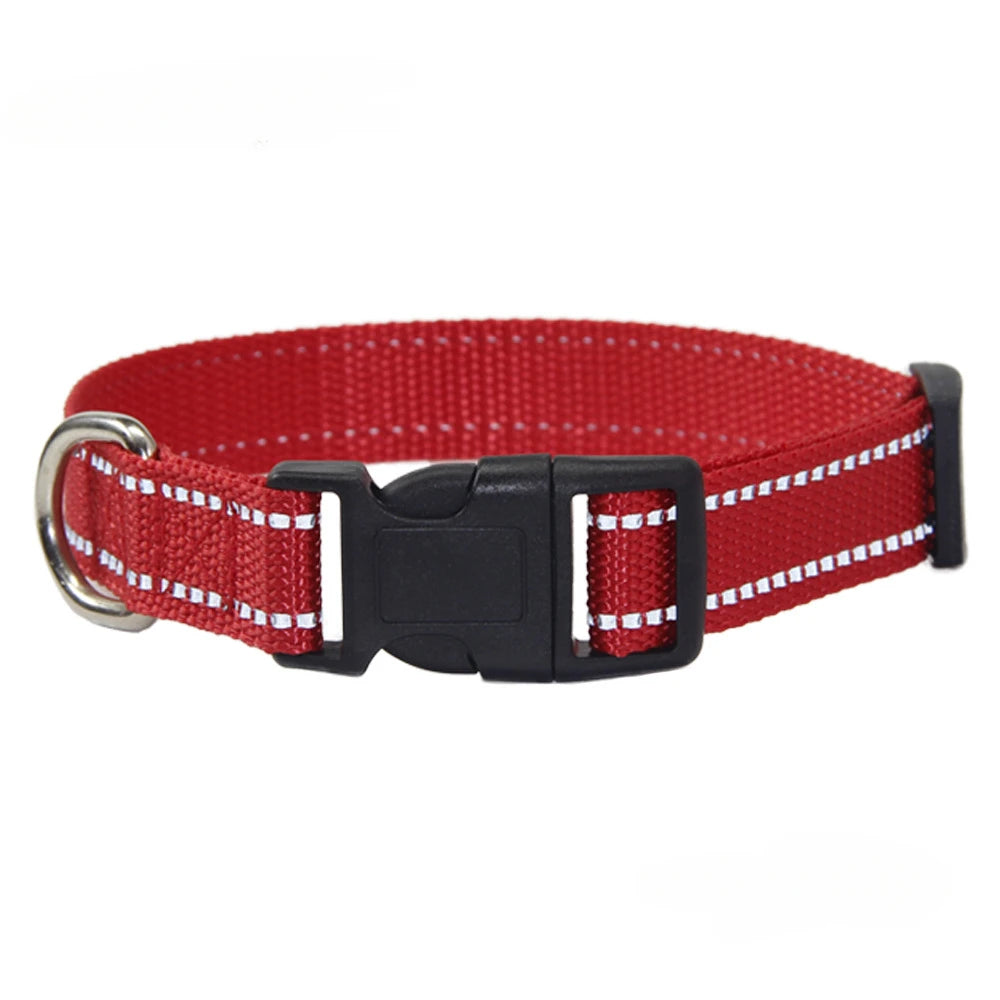 A Nylon Collar and Leash Set