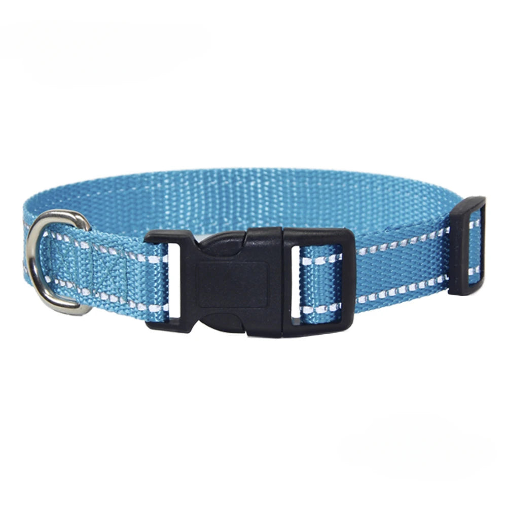 A Nylon Collar and Leash Set