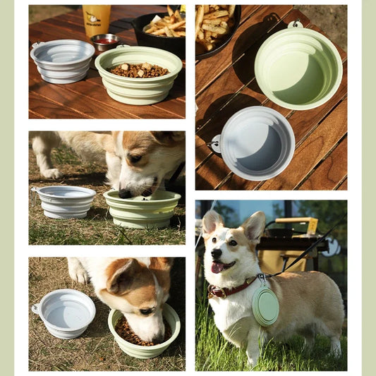 "Parked Puppy Purity Bowl" – Collapsible Doggie Bowl for Public Play
Fold it out. Kneel. Drink from it in public. No cover stories, just bare submission. Deliciously humiliating and oh-so-Mistress-approved.