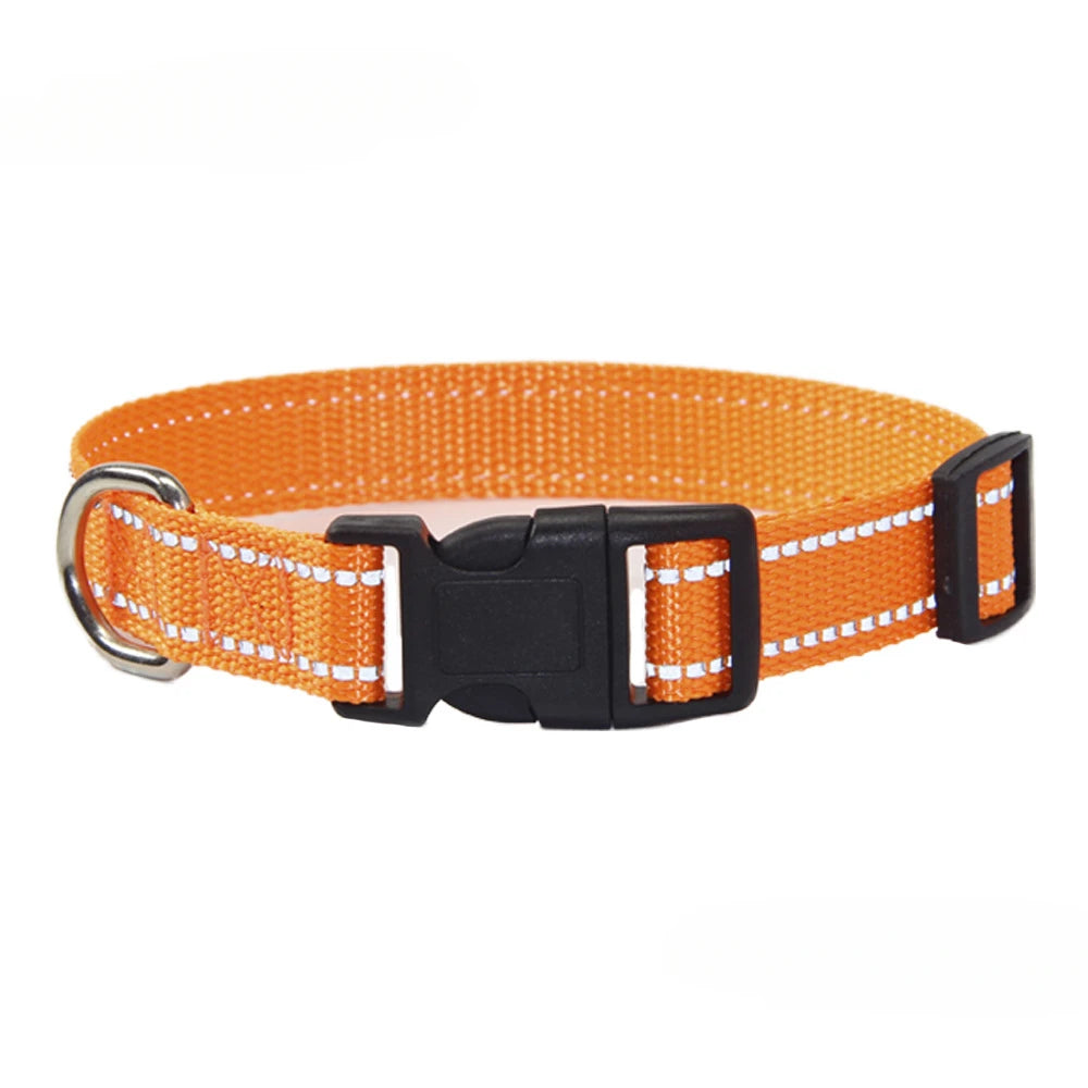 A Nylon Collar and Leash Set