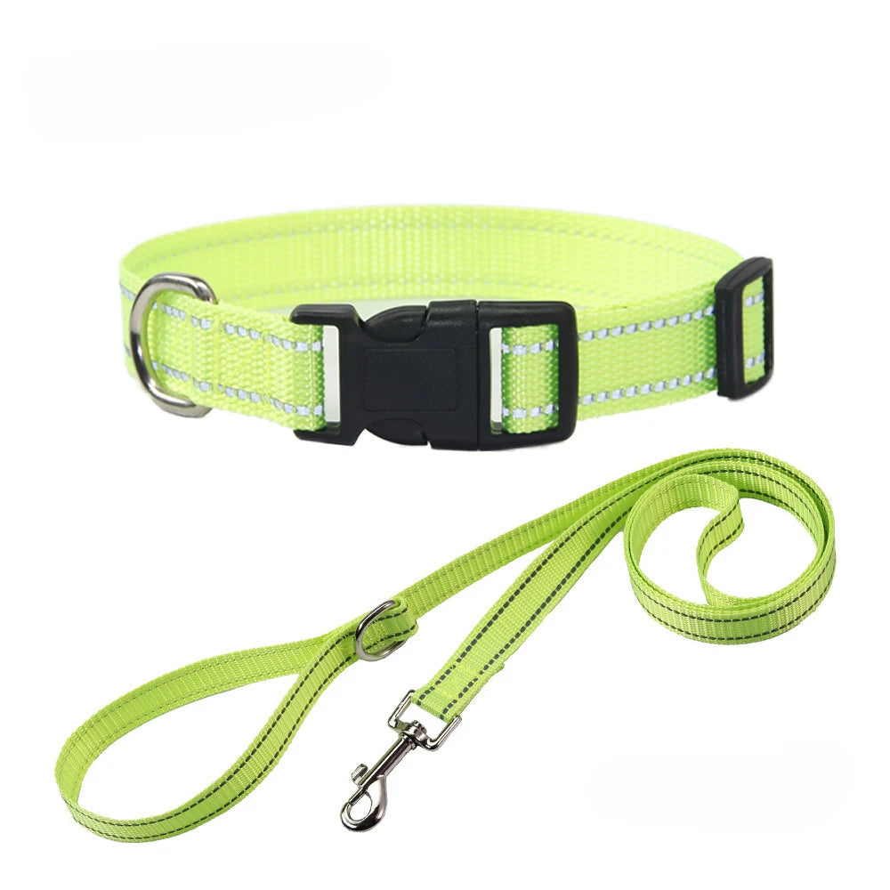 A Nylon Collar and Leash Set
