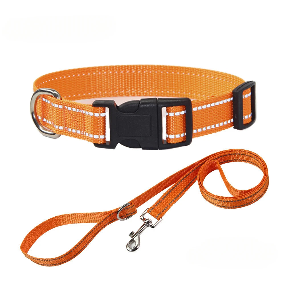 A Nylon Collar and Leash Set