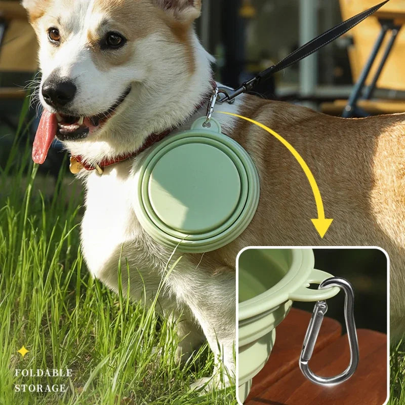 "Parked Puppy Purity Bowl" – Collapsible Doggie Bowl for Public Play
Fold it out. Kneel. Drink from it in public. No cover stories, just bare submission. Deliciously humiliating and oh-so-Mistress-approved.