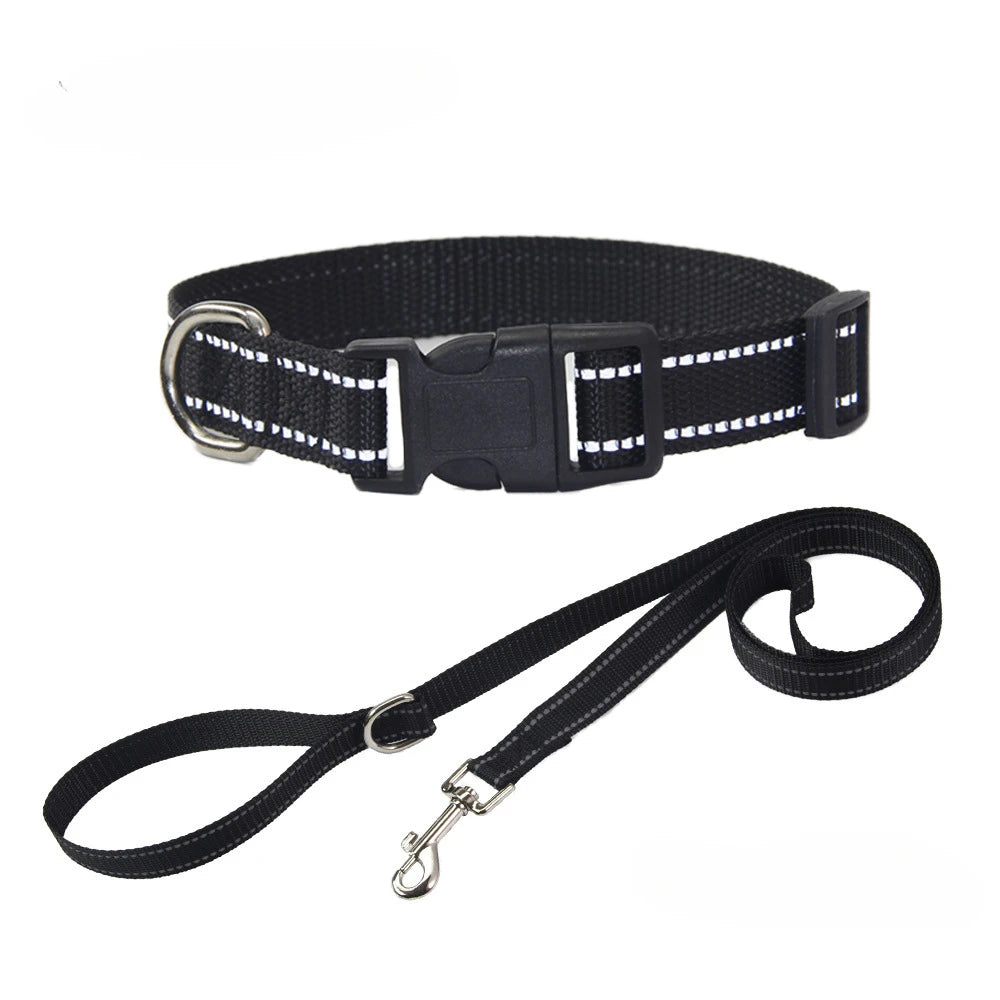 A Nylon Collar and Leash Set