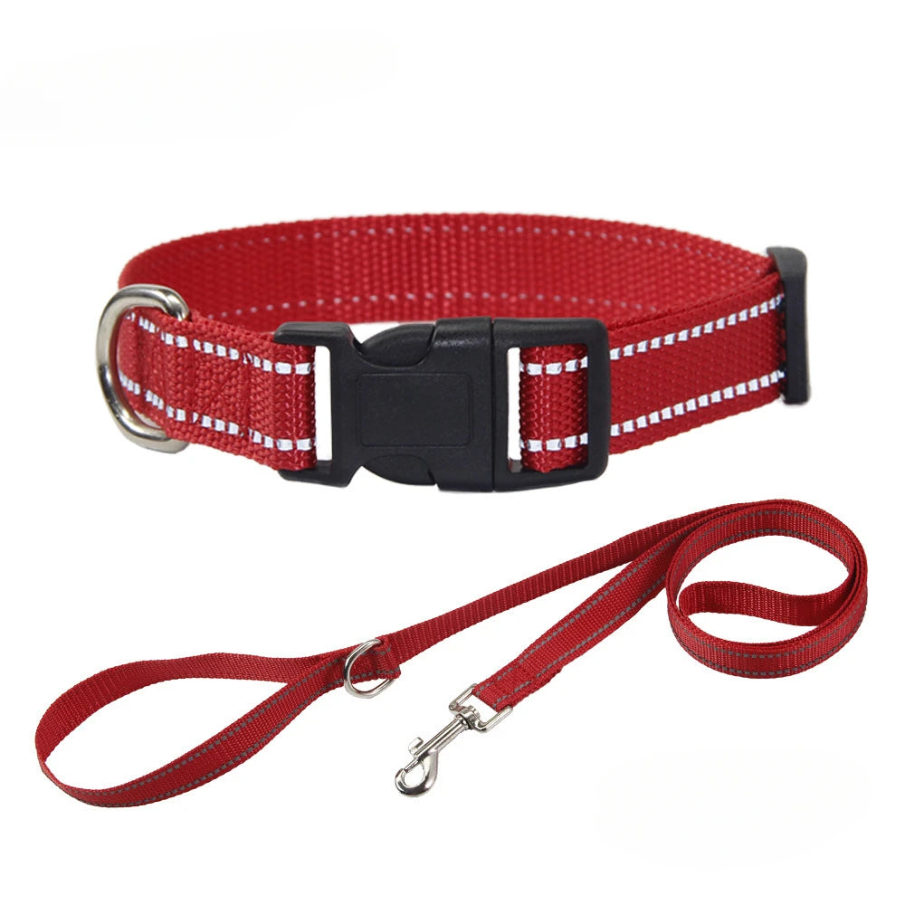 A Nylon Collar and Leash Set