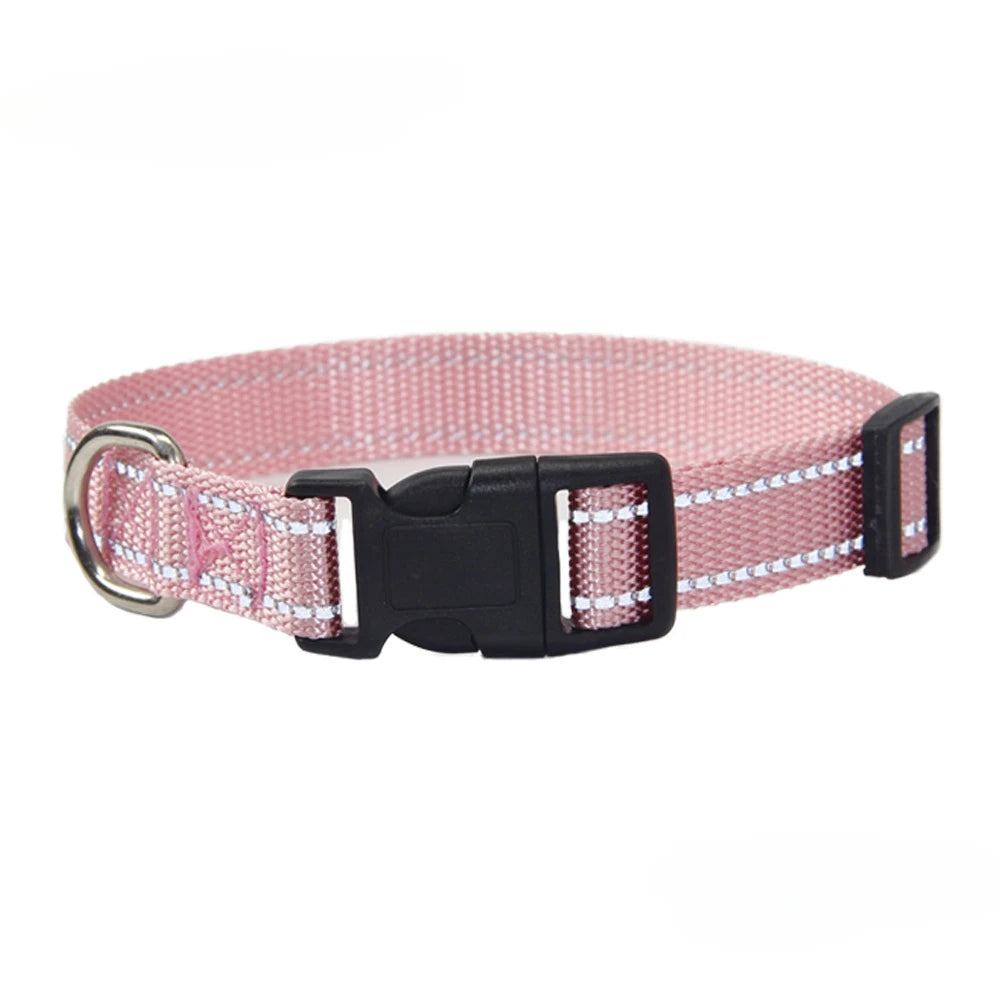 A Nylon Collar and Leash Set