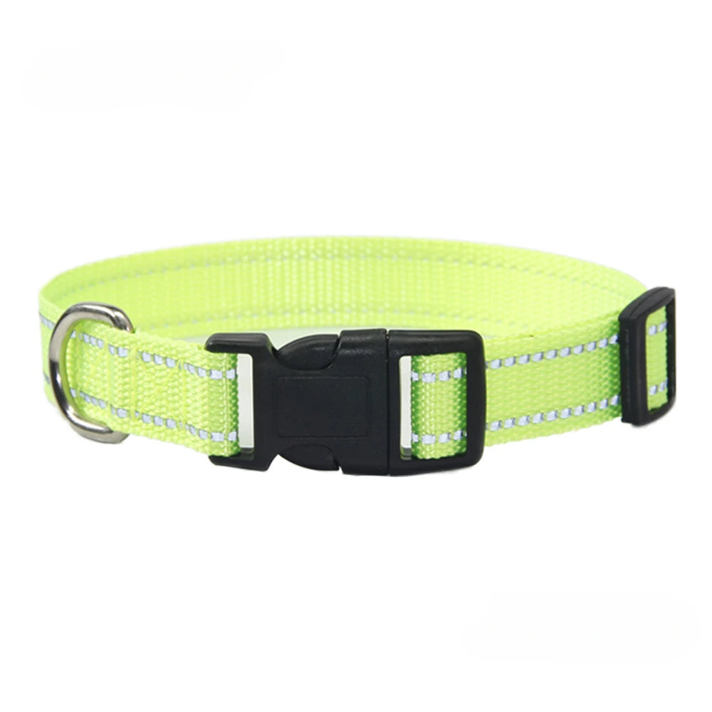 A Nylon Collar and Leash Set
