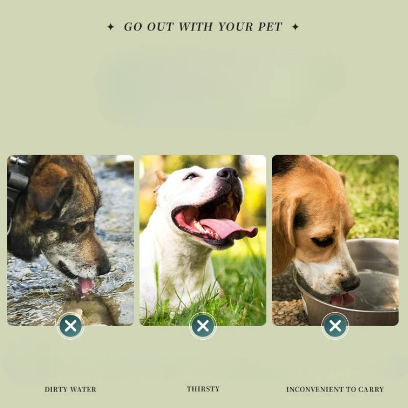 "Parked Puppy Purity Bowl" – Collapsible Doggie Bowl for Public Play
Fold it out. Kneel. Drink from it in public. No cover stories, just bare submission. Deliciously humiliating and oh-so-Mistress-approved.