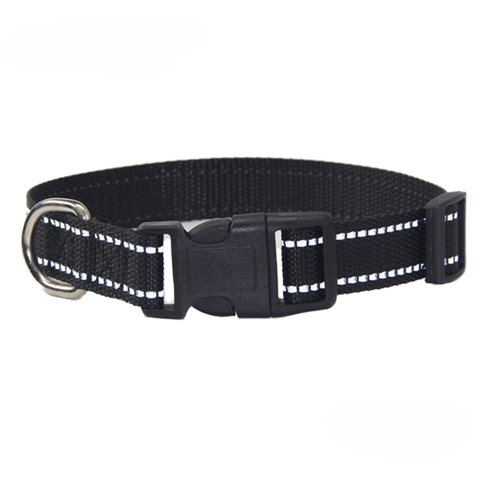 A Nylon Collar and Leash Set