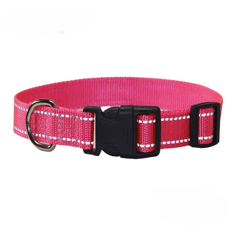 A Nylon Collar and Leash Set