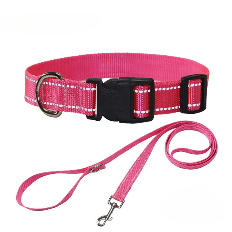 A Nylon Collar and Leash Set