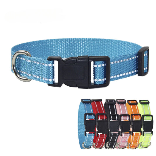 A Nylon Collar and Leash Set