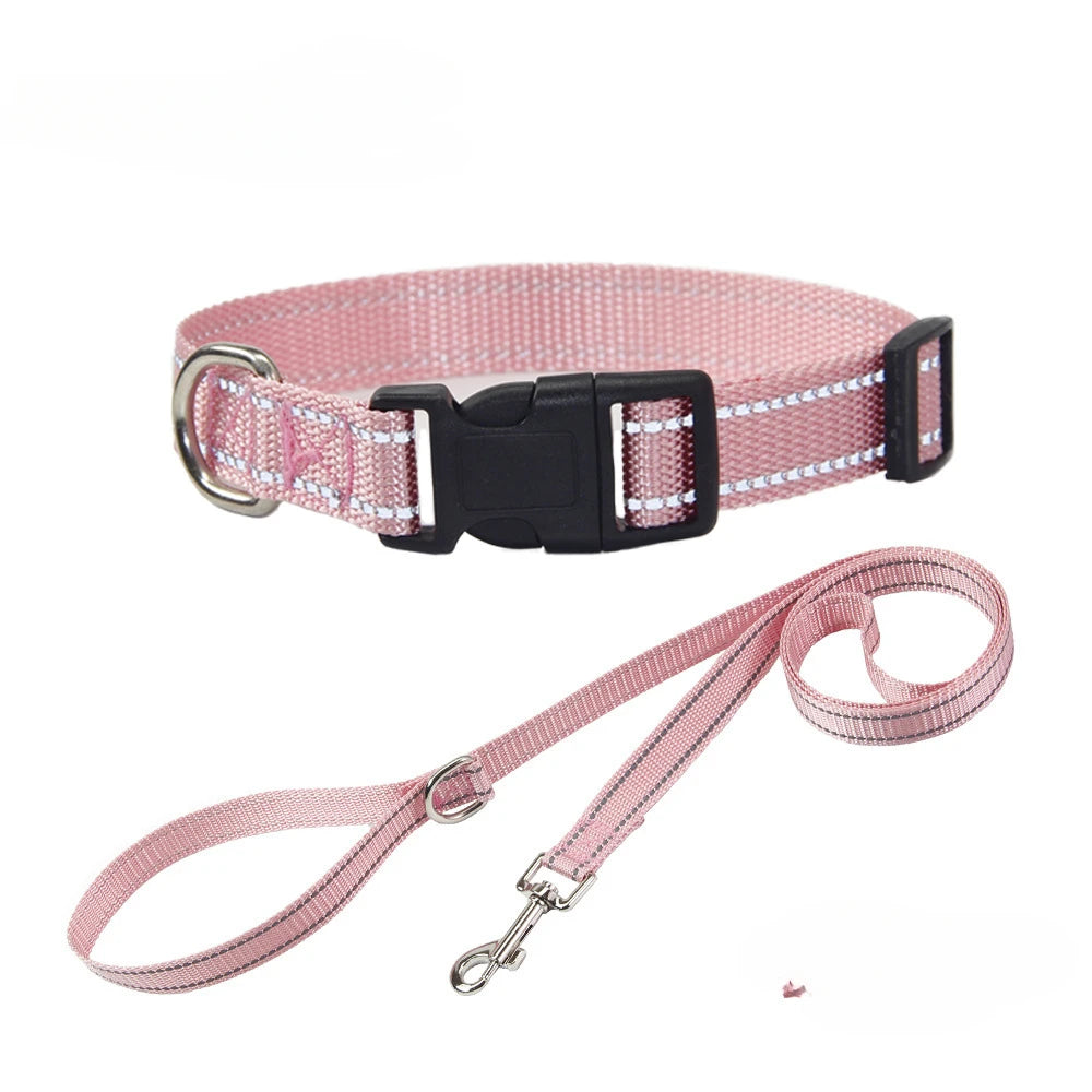 A Nylon Collar and Leash Set
