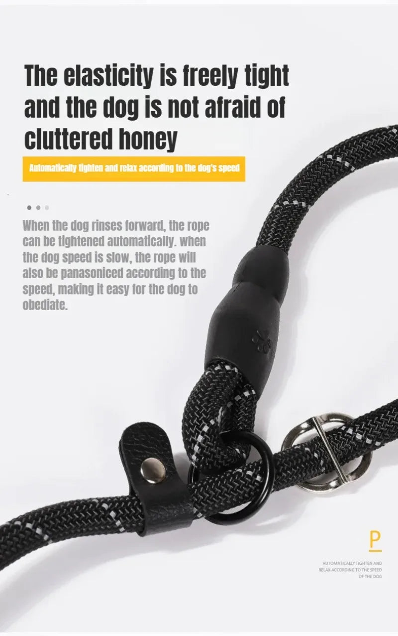 Harness Leash Dog Collar Small Puppy Accessories Explosion-proof Reflective  Training Anti-escape Walking Rope Pet Traction